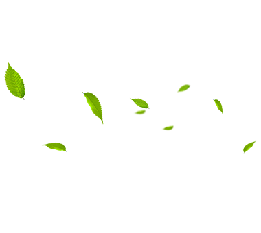 MHL Power Dongfang Cower Co., Ltd. (MHDB)