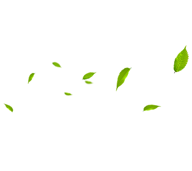 MHL Power Dongfang Cower Co., Ltd. (MHDB)