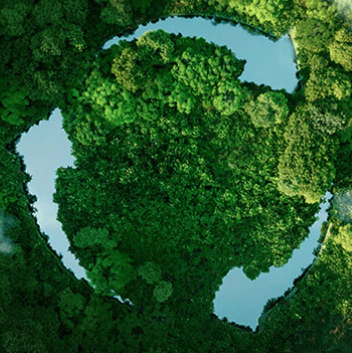 MHL Power Dongfang Cower Co., Ltd. (MHDB)